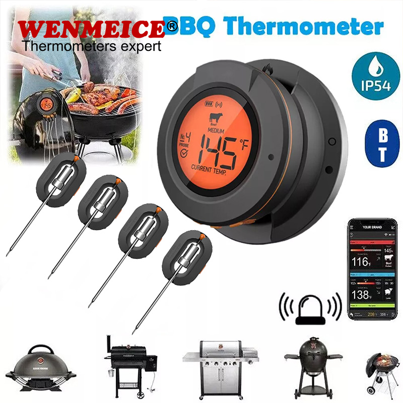 WENMEICE Bluetooth Thermometer - Kitchen Gadgets Under 500 评论和价格