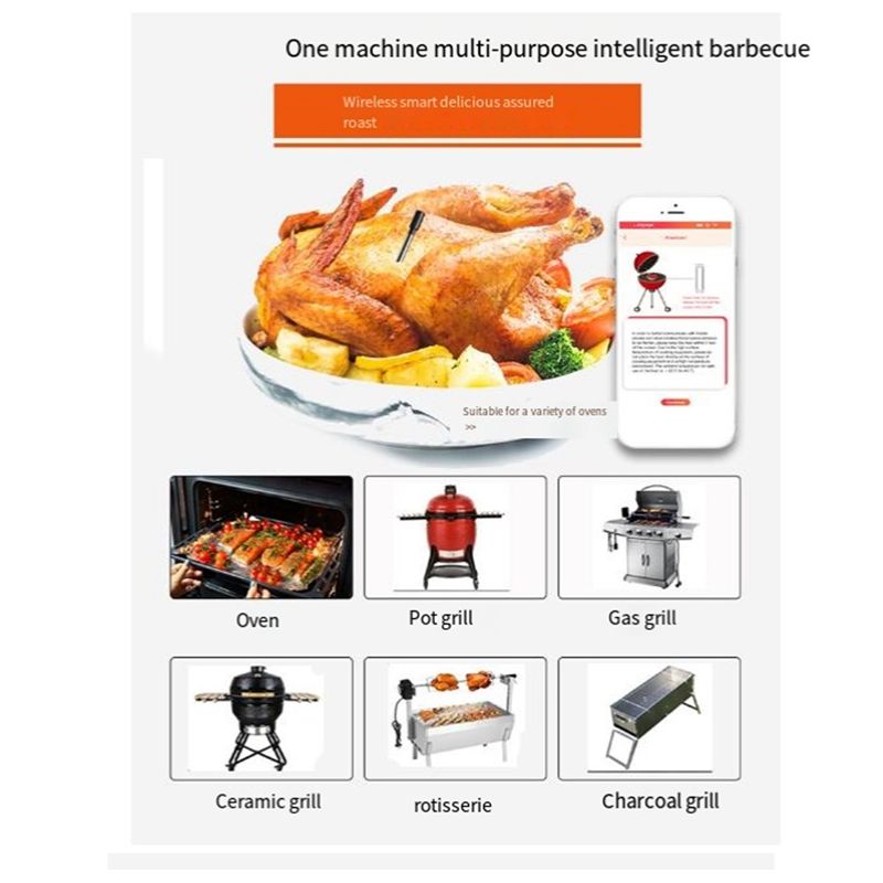 Wireless Meat Food Thermometer - Meat Thermometer 评论和价格